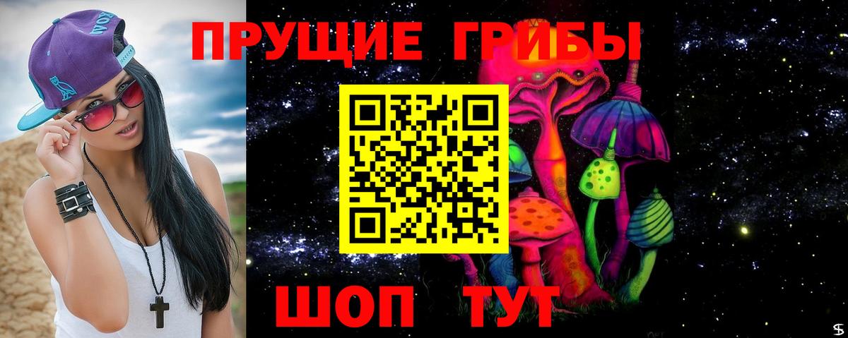 Борзя  Галлюциногенные грибы Psilocybine cubensis  Вход с VPN 